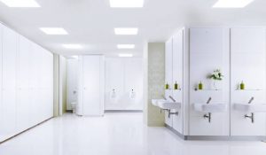 Lire la suite à propos de l’article Quels sont les meilleurs types de toilettes ?